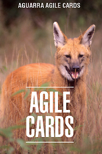 Aguarra-Agile-Cards.png